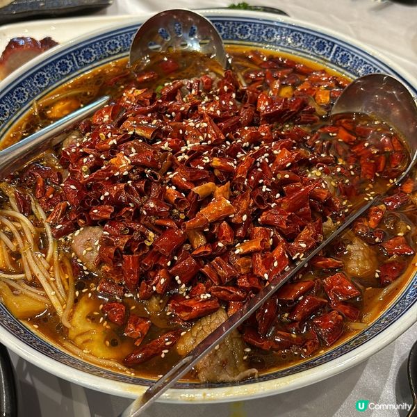 灣仔中華小館🤤！燒鵝叉燒超正！同事聚餐開心🥳！