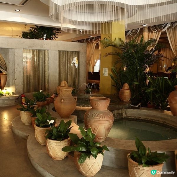 椰子雞煲仔飯🤤！潤園四季正呀！🌴🐔