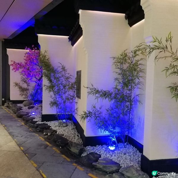 吳莊江南菜，環境一流！🤩 食過翻尋味！😋,