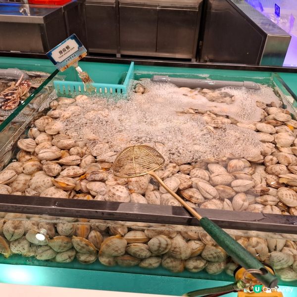 家庭聚會的好地方