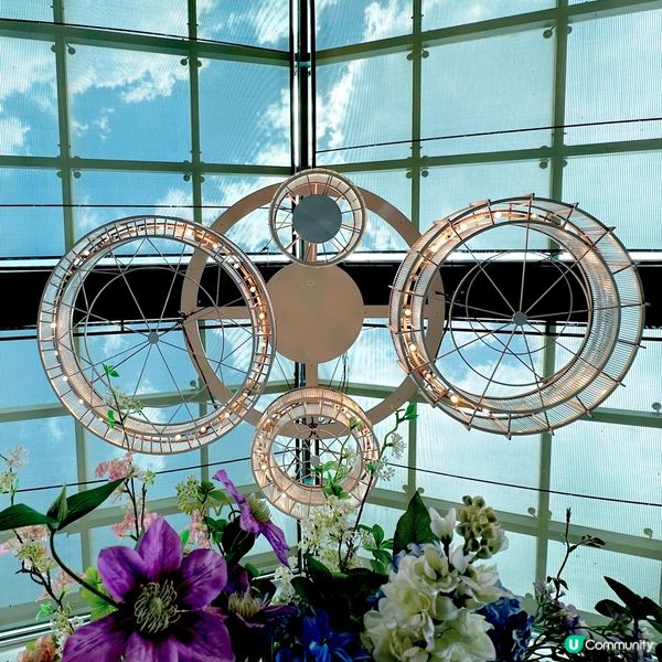 優哉游哉星期日