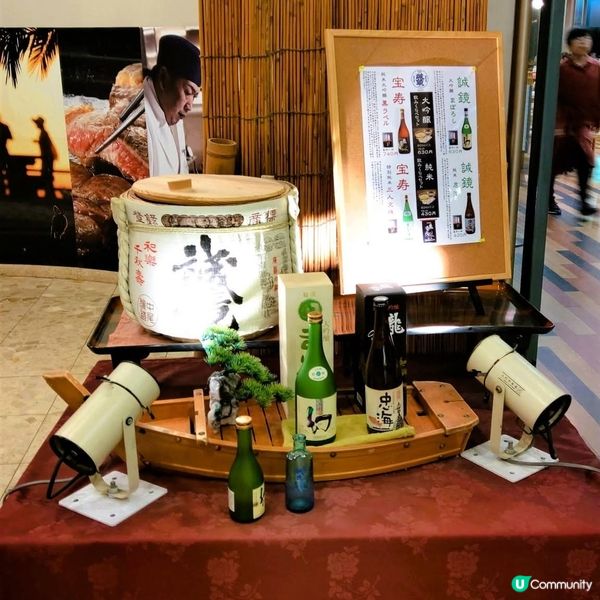 大久野島兔仔島！🐰 療癒之旅等你嚟！🌊