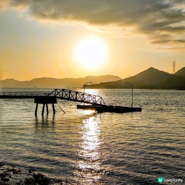 大久野島兔仔島！🐰 療癒之旅等你嚟！🌊