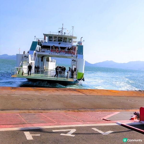 大久野島兔仔島！🐰 療癒之旅等你嚟！🌊