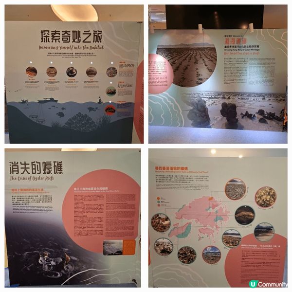 介紹香港蠔不同種類及產品，加強宣傳推世界不同保育貝殼重要性及...