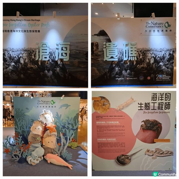 介紹香港蠔不同種類及產品，加強宣傳推世界不同保育貝殼重要性及...