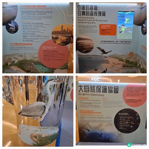 介紹香港蠔不同種類及產品，加強宣傳推世界不同保育貝殼重要性及...