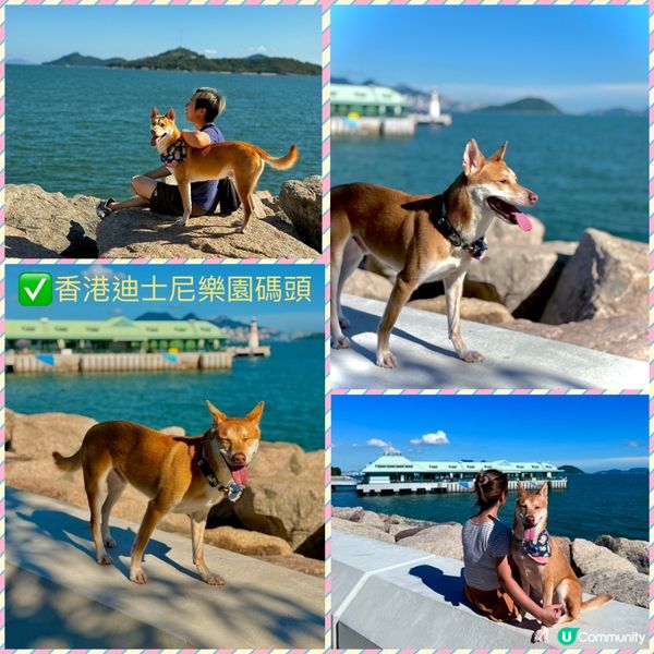 ❤️假日放電好去處🤩適合小朋友👍放狗👍親子樂🌟