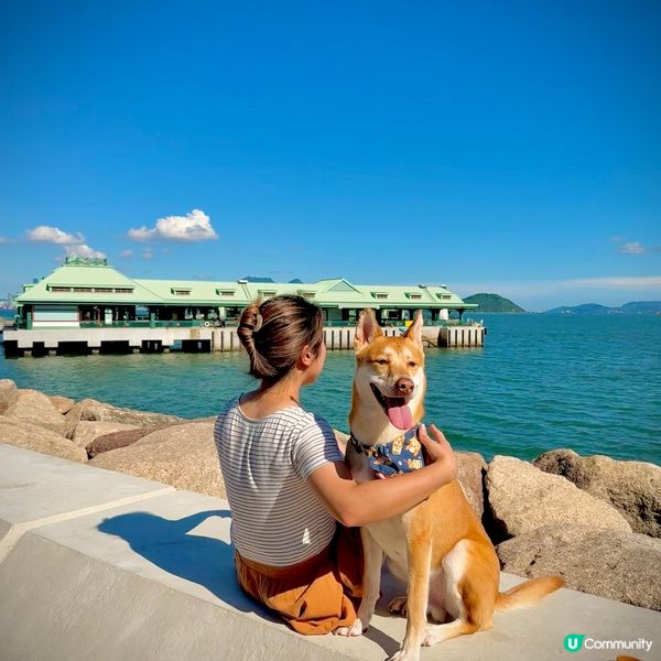 ❤️假日放電好去處🤩適合小朋友👍放狗👍親子樂🌟