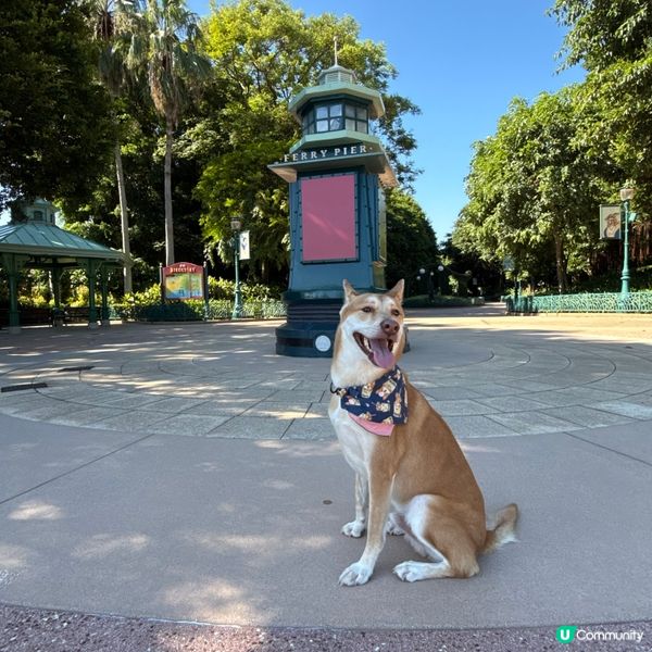 ❤️假日放電好去處🤩適合小朋友👍放狗👍親子樂🌟