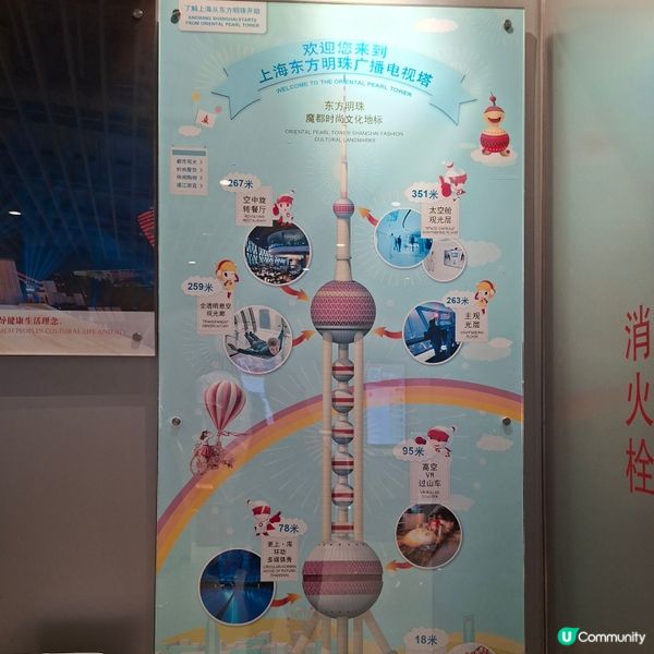 東方明珠塔打卡📸上海必去地標🤩