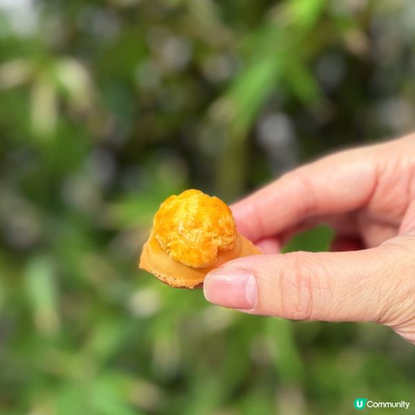 必試Q版菠蘿包雞蛋仔🌟