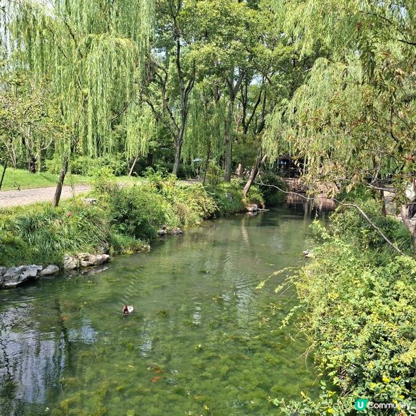 ✨️蘇洲大型園林拙政園📸熱門旅遊打卡景點介紹和分享🥰