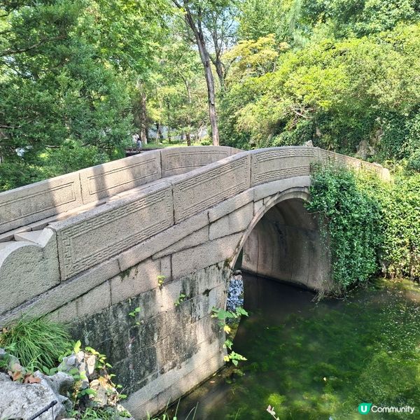 ✨️蘇洲大型園林拙政園📸熱門旅遊打卡景點介紹和分享🥰