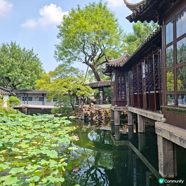 ✨️蘇洲大型園林拙政園📸熱門旅遊打卡景點介紹和分享🥰