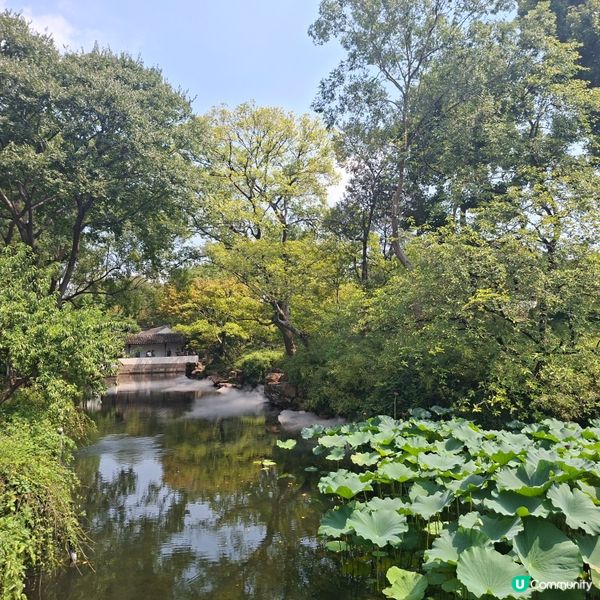 ✨️蘇洲大型園林拙政園📸熱門旅遊打卡景點介紹和分享🥰