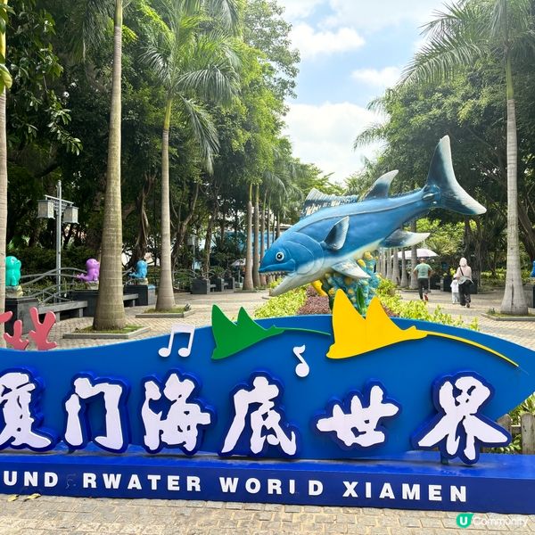 廈門/廈門海底世界🌊！親子必去！🐠