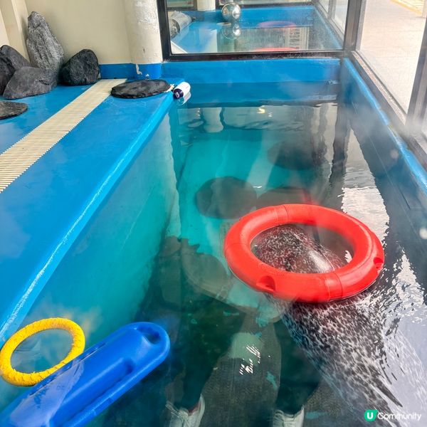 廈門/廈門海底世界🌊！親子必去！🐠