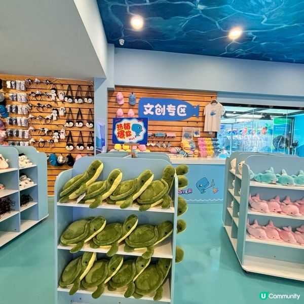 廈門/廈門海底世界🌊！親子必去！🐠