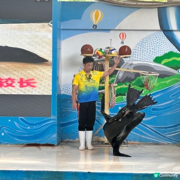 廈門/廈門海底世界🌊！親子必去！🐠