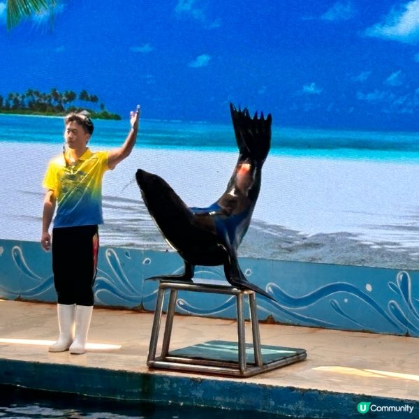 廈門/廈門海底世界🌊！親子必去！🐠