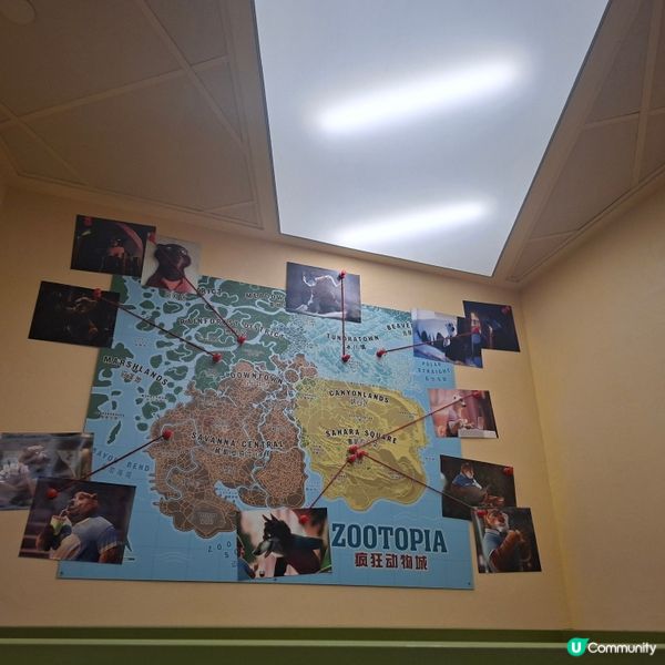 上海迪士尼攻略！瘋狂動物城必玩🤩