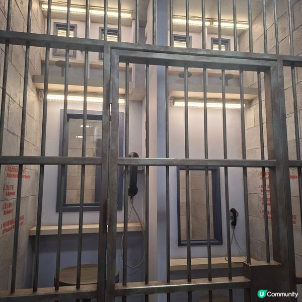 上海迪士尼攻略！瘋狂動物城必玩🤩