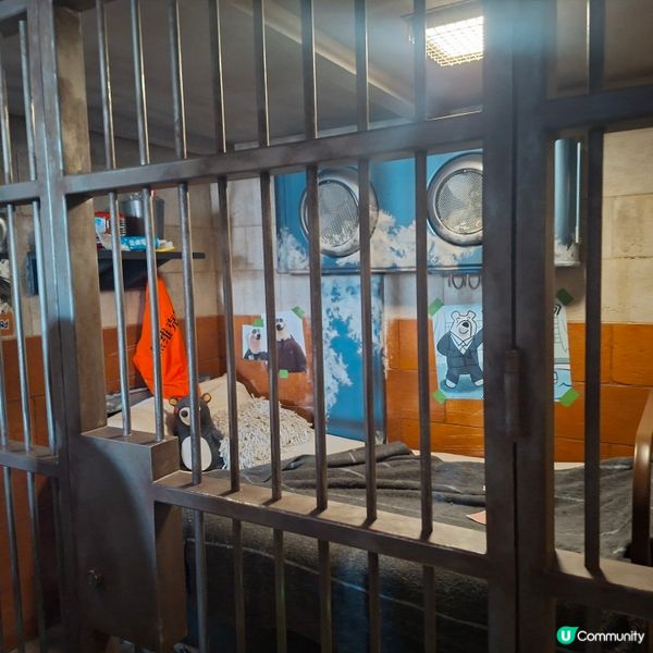 上海迪士尼攻略！瘋狂動物城必玩🤩