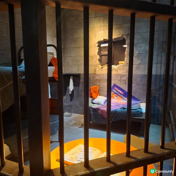 上海迪士尼攻略！瘋狂動物城必玩🤩