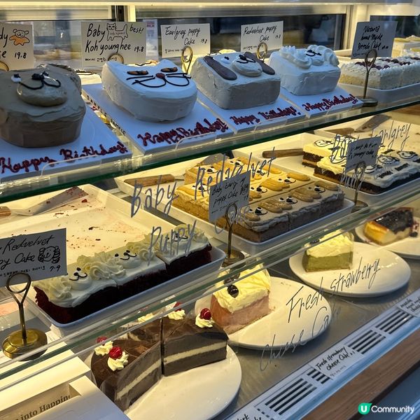 📍首爾📍小狗蛋糕Cafe