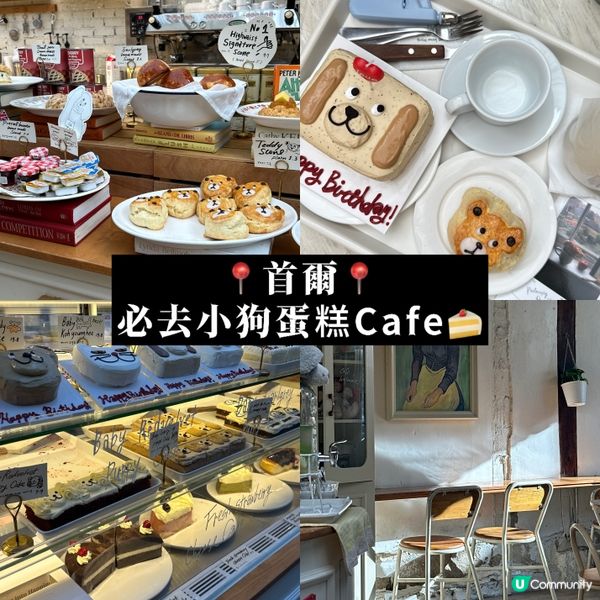 📍首爾📍小狗蛋糕Cafe