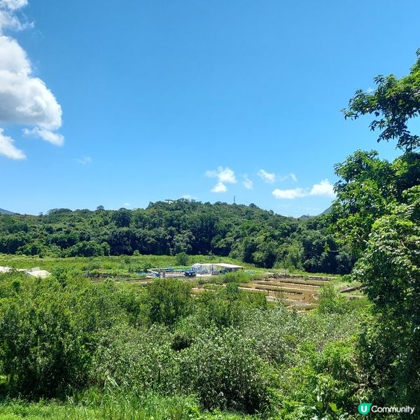 西貢鹽田梓一日遊！打風無嘢做就Plan 吓！