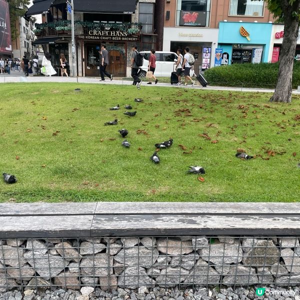 首爾西橋洞住宿分享！性價比高🤩！