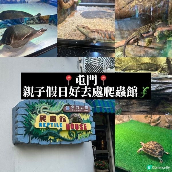 免費睇爬蟲🦎帶仔女放電！