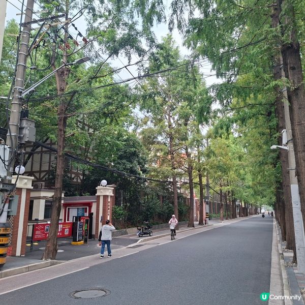 ✨️上海甜愛路浪漫大街甜密散步遊覧😍熱門網紅打卡景點💞