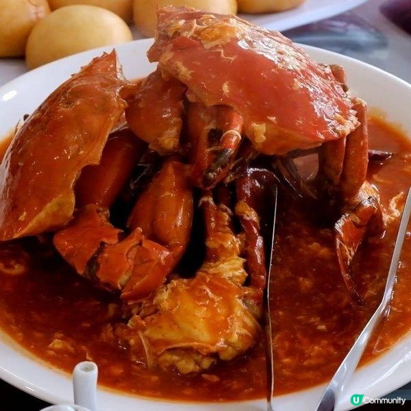  迪沙魯海鮮之旅！🦀🦐 飽到捧腹！🌊🤤
