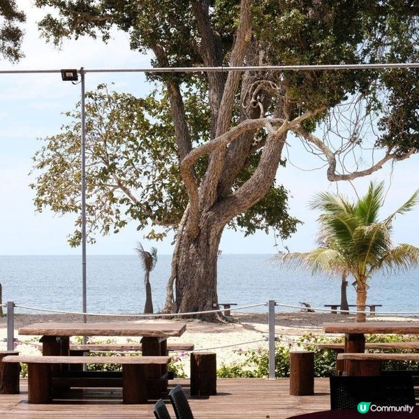  迪沙魯海鮮之旅！🦀🦐 飽到捧腹！🌊🤤