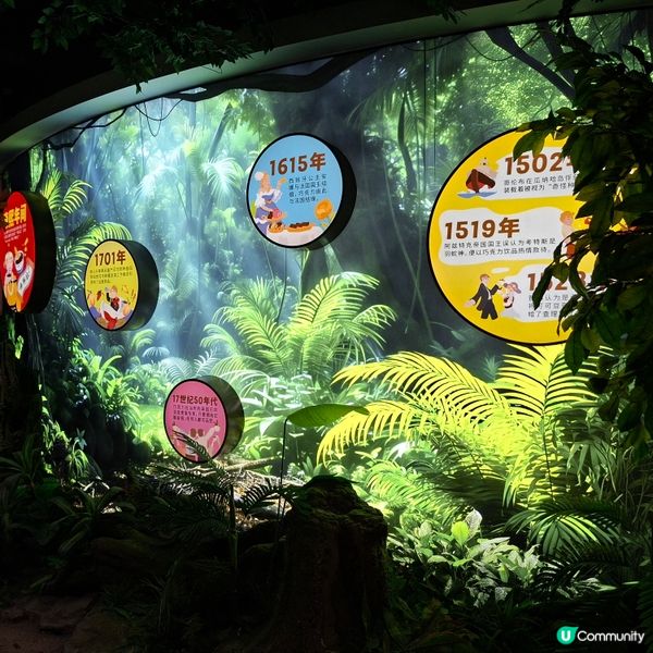 上海巧克力博物館🥰免費任你行🤩巧克力製作的展覧品非常精美