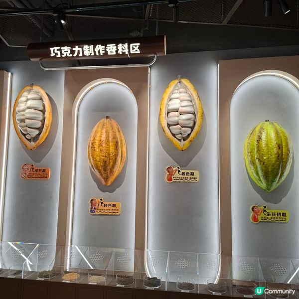 上海巧克力博物館🥰免費任你行🤩巧克力製作的展覧品非常精美