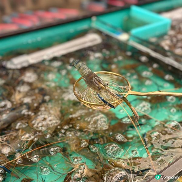 性價比高即撈海鮮火鍋放題🍲