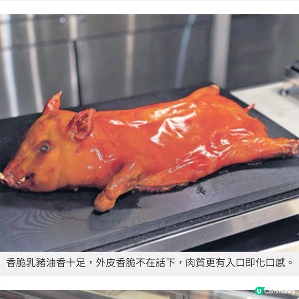 Food Studio自助餐開幕重量級龍蝦高質食材入饌