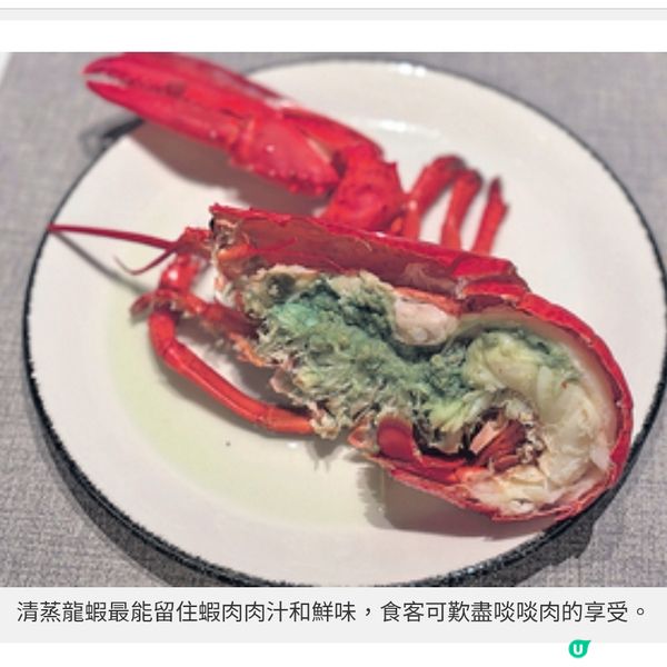 Food Studio自助餐開幕重量級龍蝦高質食材入饌