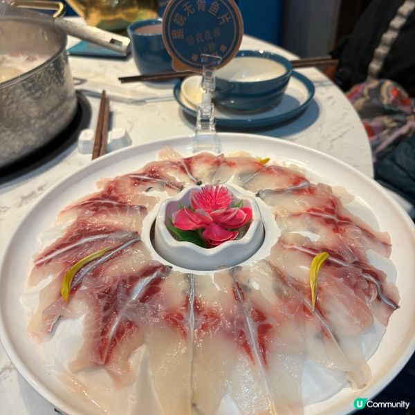 脆鮮生脆鯇魚鍋🤤！爽彈鮮味，停唔到口！😋