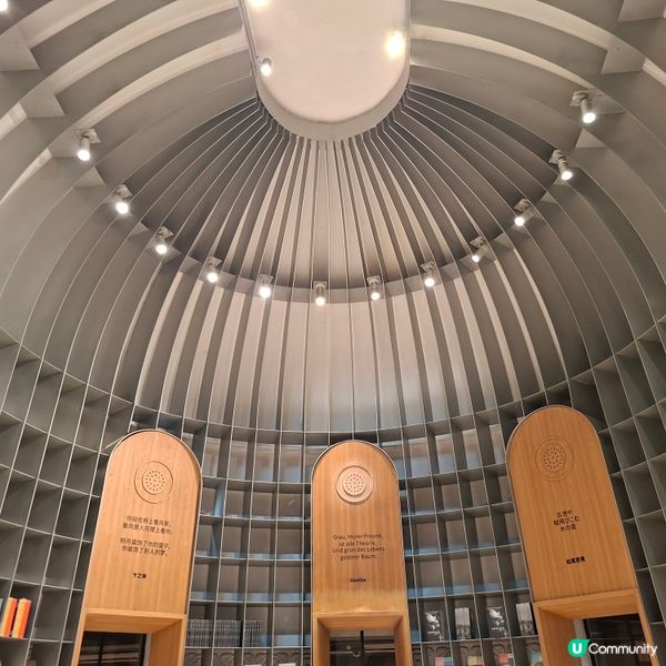 ✨️上海景點遊玩攻略😍遊覧思南路散步👣欣賞優秀歷史建築