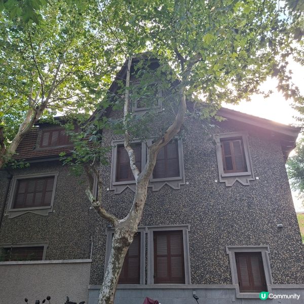 ✨️上海景點遊玩攻略😍遊覧思南路散步👣欣賞優秀歷史建築