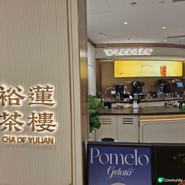 ✨️裕蓮茶樓必食推介💯上海遊客必須品嚐的茶飲小食店😋