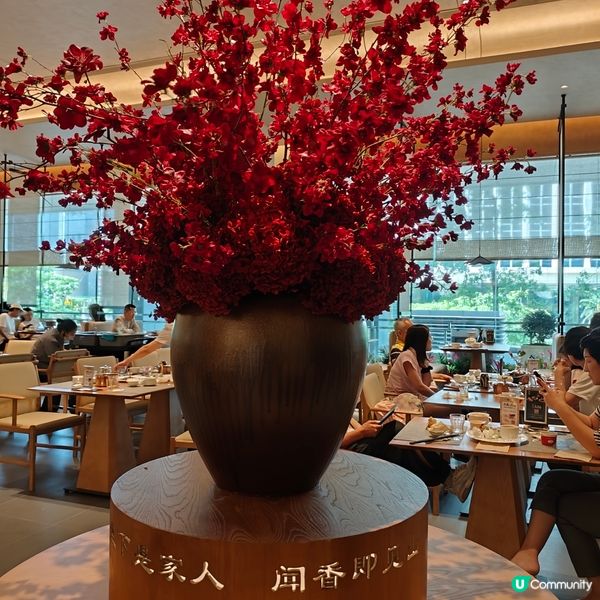 一家素食新體驗！深圳素食天花板🤩