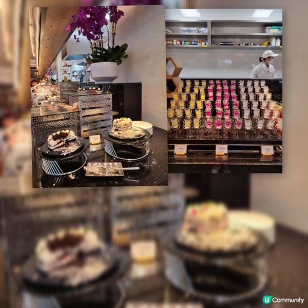 一家素食新體驗！深圳素食天花板🤩