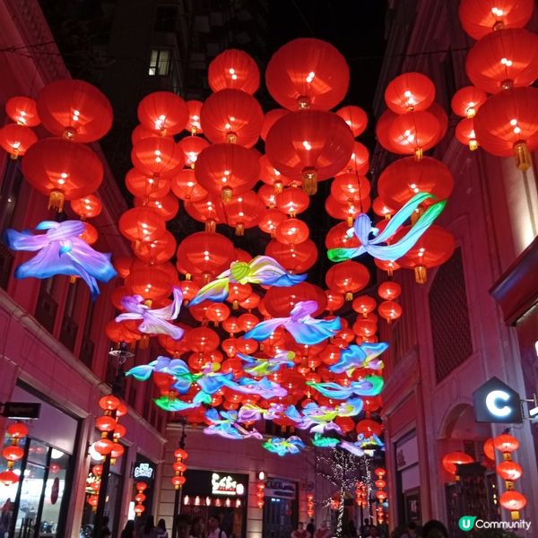 利東街「喜魚映花月」燈籠海🏮✨快啲去打卡！