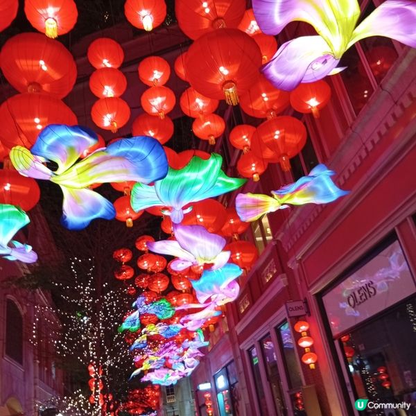 利東街「喜魚映花月」燈籠海🏮✨快啲去打卡！